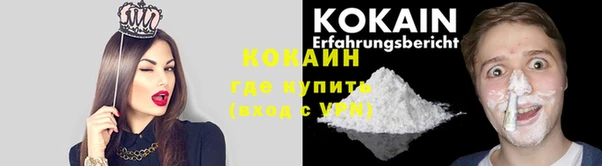 каннабис Новозыбков
