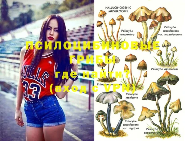 PSILOCYBIN Верхнеуральск