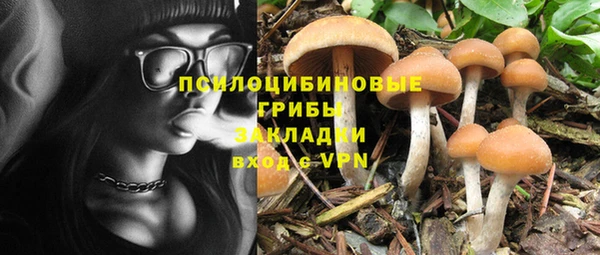 PSILOCYBIN Верхнеуральск