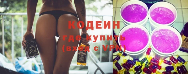 apvp Няндома